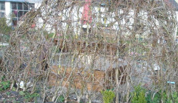 Was Frühling mit Mathematik zu tun hat - Familie(n)leben