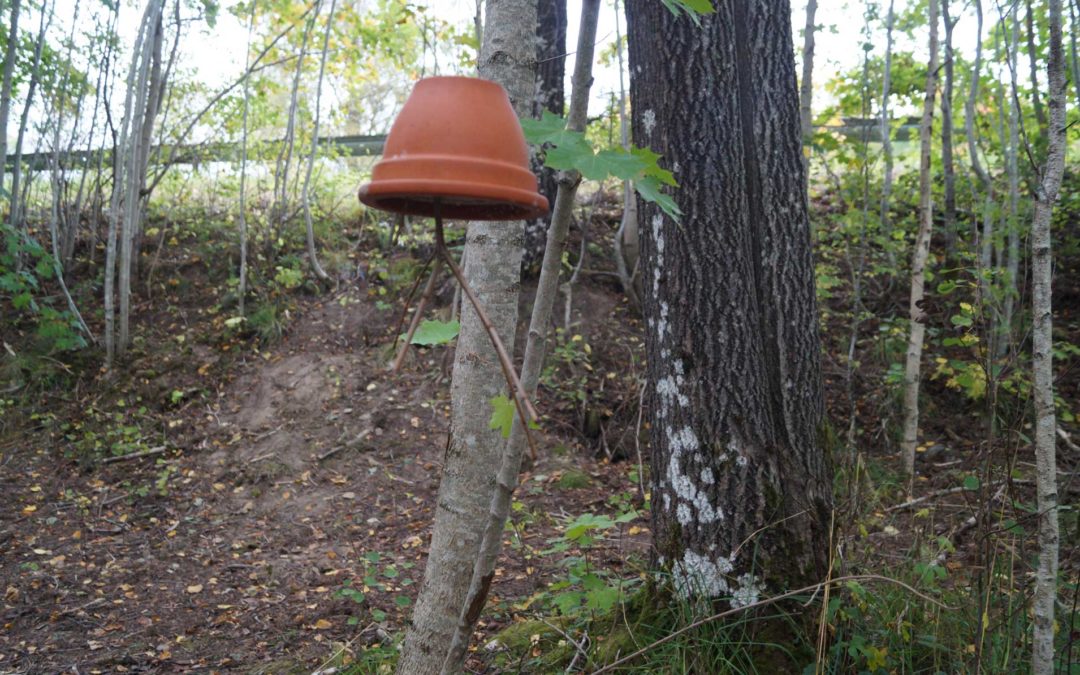 Rezept für Futterglocke